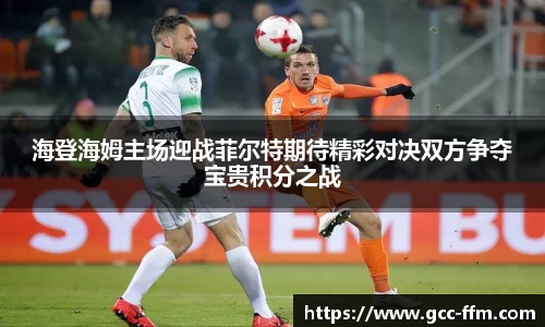 海登海姆主场迎战菲尔特期待精彩对决双方争夺宝贵积分之战
